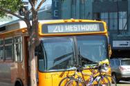 L'autista dell'autobus voleva far uscire i passeggeri dall'abitacolo a causa di una bicicletta per bambini: un conflitto nel trasporto pubblico