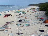 Henderson Island: l'isola disabitata più inquinata del mondo