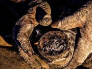Amu Hajj - l'uomo più sporco del mondo